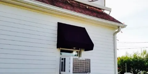 Hot Chocolate Sparrow