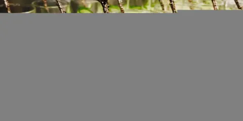 Kompatei Hashizumean