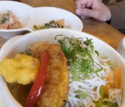Koticafe