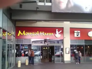 Mongol Hann
