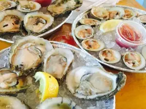 Sea Dogs Grille