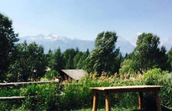 Moose Trading Post & Deli