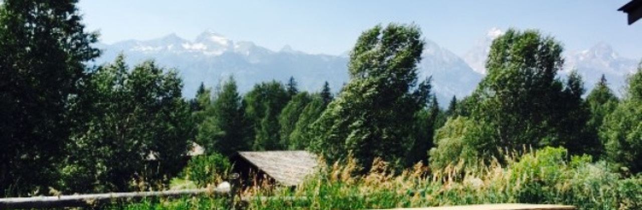 Moose Trading Post & Deli