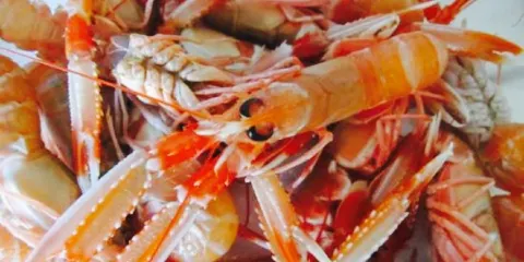 Le Relais de Lodonnec