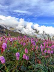 Duoxiongla Snow Mountain