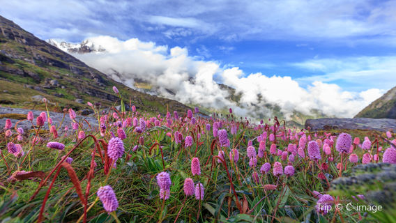 Duoxiongla Snow Mountain
