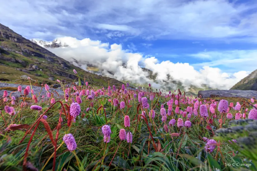 Duoxiongla Snow Mountain