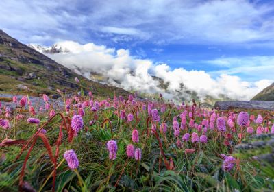 Duoxiongla Snow Mountain