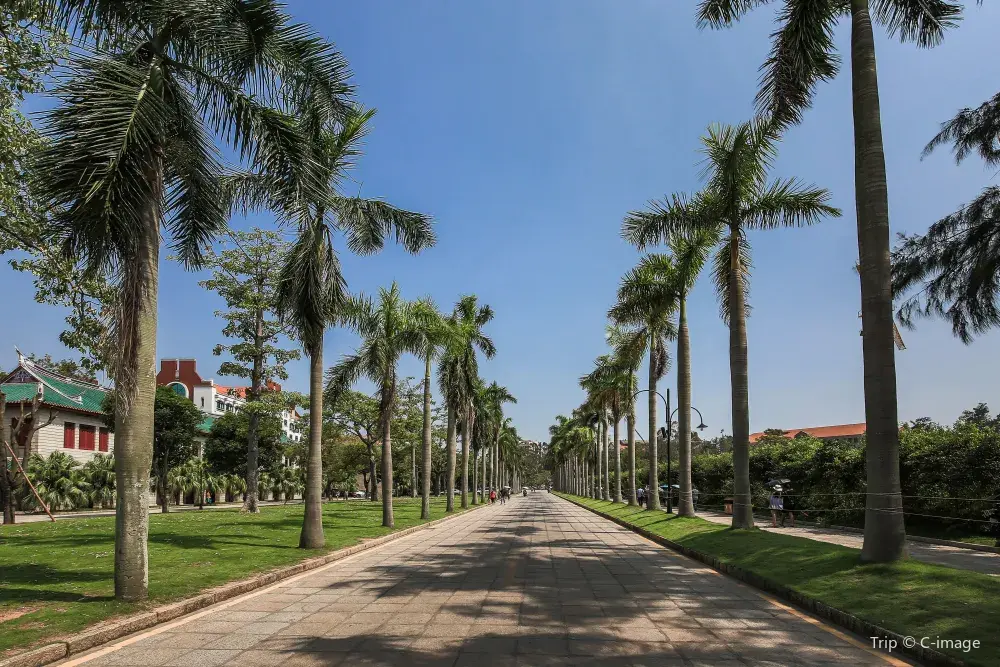 4_Xiamen University