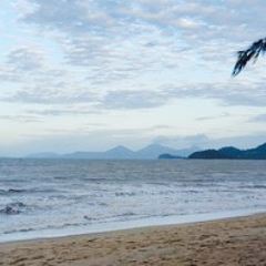 Vivo Palm Cove User Photo