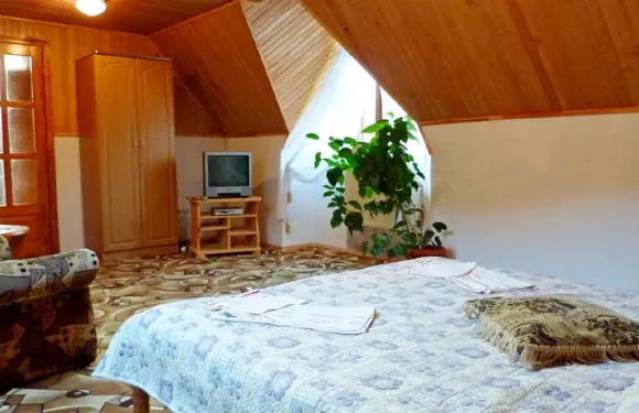 薩德巴比爾亞日斯克酒店