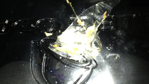 Taco Bell in 스프링필드