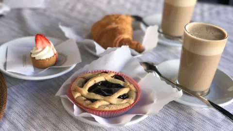 Pappagallo in Ciudad del Vaticano