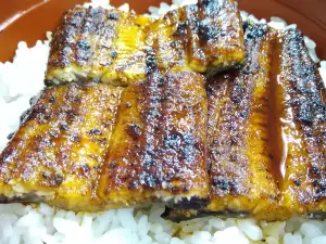 Unagi no Irifune