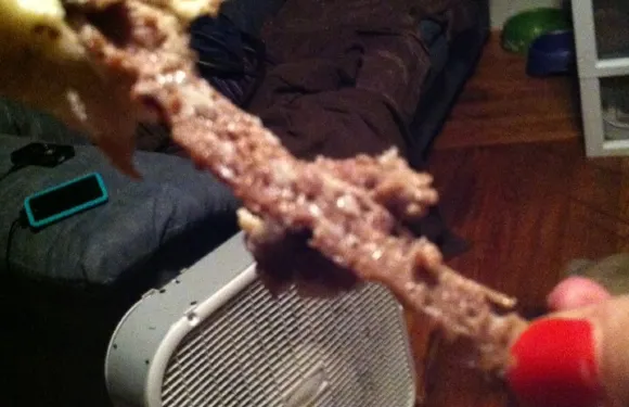 D'Angelo Grilled Sandwiches