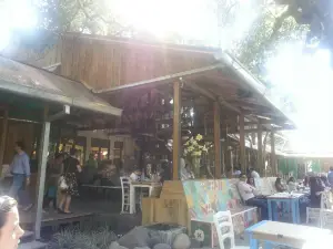 Saul L'Osteria