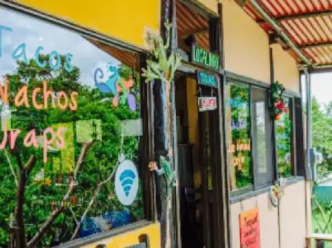 Gecko's Waterfall Grill