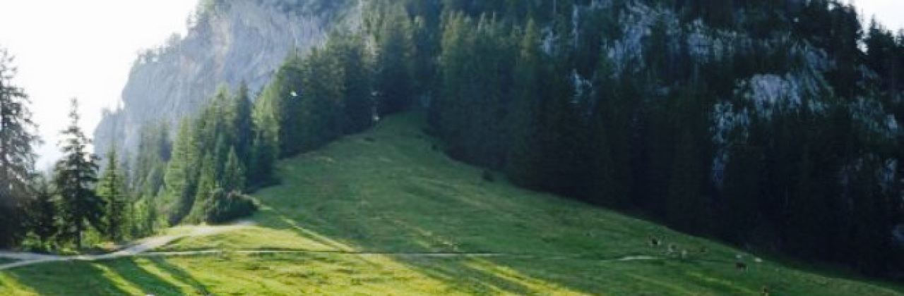 Alpengasthof Hutteneckalm