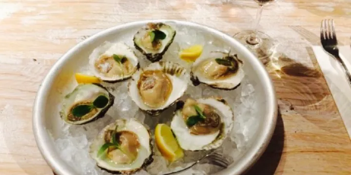 In de Walcherschen Dolphyn