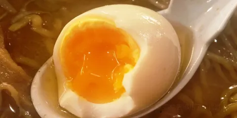 すみれ（中の島本店）