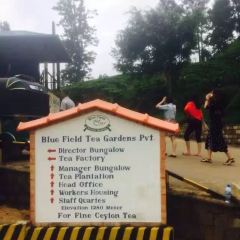 BlueField Tea Restaurant User Photo