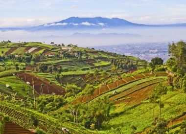 Bandung