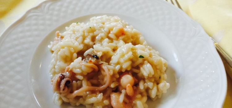 Dal Mollusco
