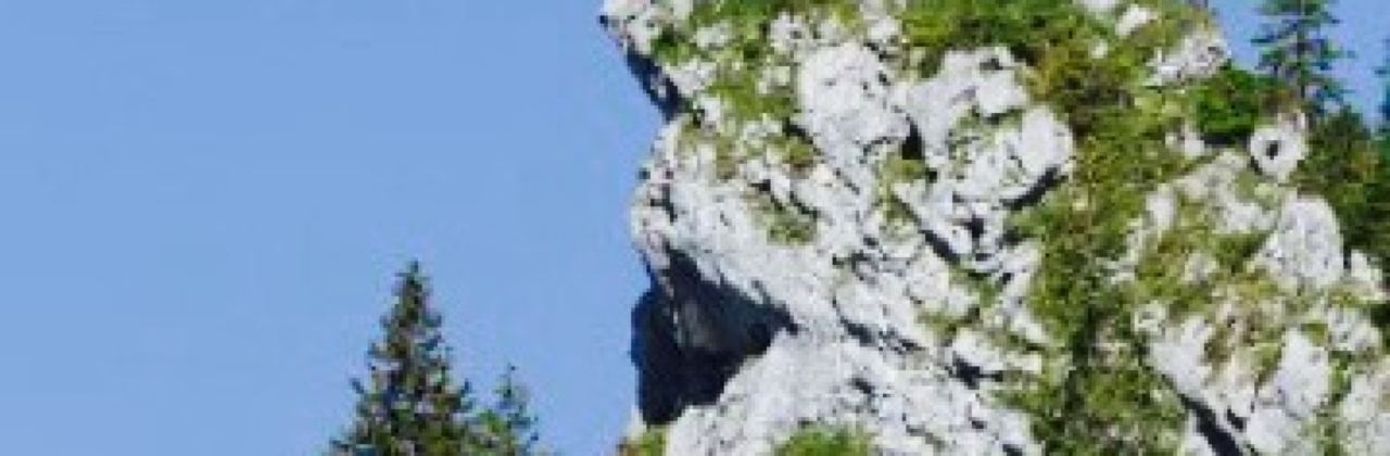 Stie-Alm und Skilifte