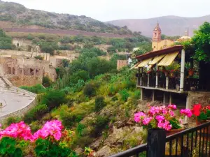Terraza San Miguel