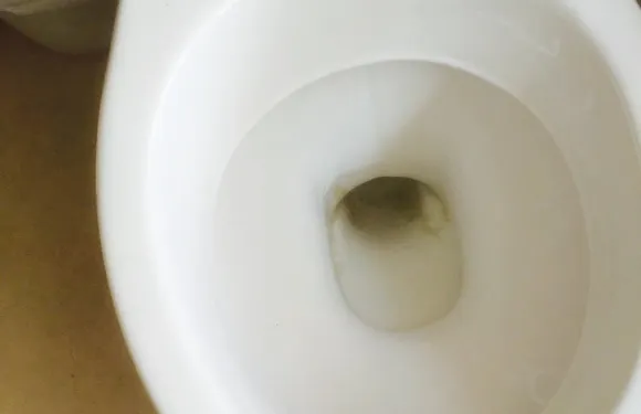 The Queen's Head Inn