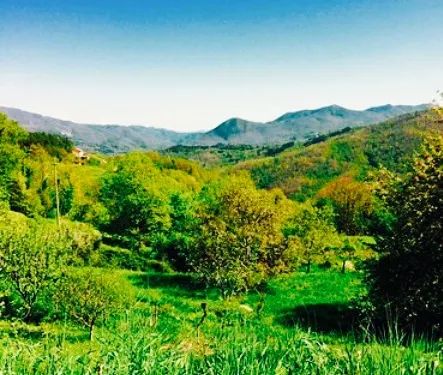 Albergo Ristorante Bar Belvedere