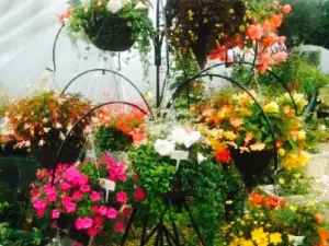 Lakers Garden Centre