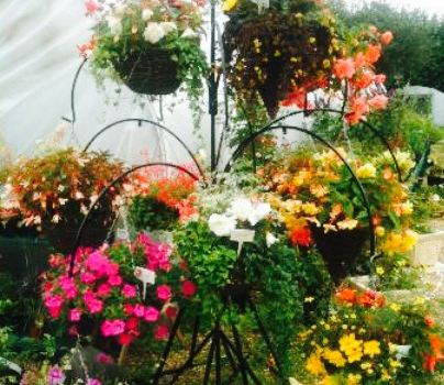 Lakers Garden Centre