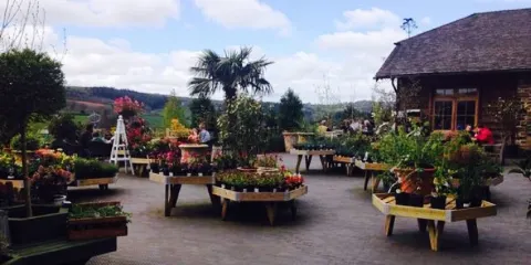 The Duchy Coffee Shop