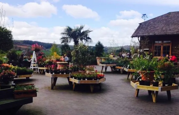 The Duchy Coffee Shop