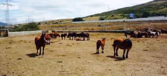 Meson Las Lanzas cantabria