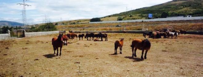 Meson Las Lanzas cantabria