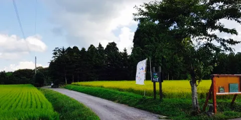 Satoyama No Cafe Ninigi