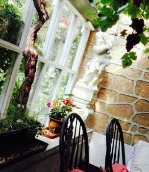 Hollies Tea Gardens