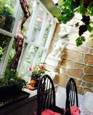 The Hollies Tea Gardens