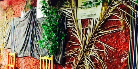 Guachinche La Huerta De Ana y Eva