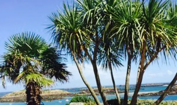 Hotel du Fort et des Iles