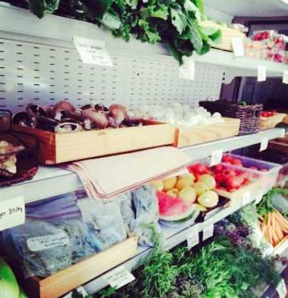 Earthy Eats