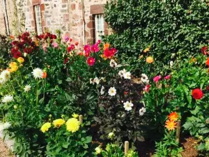 Fyvie Castle Tearoom