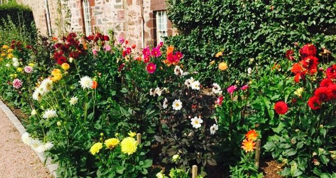 Fyvie Castle Tearoom