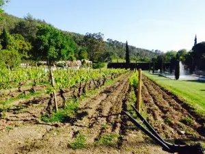 Domaine du Pourret