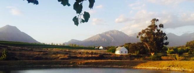 Manley Wine Lodge