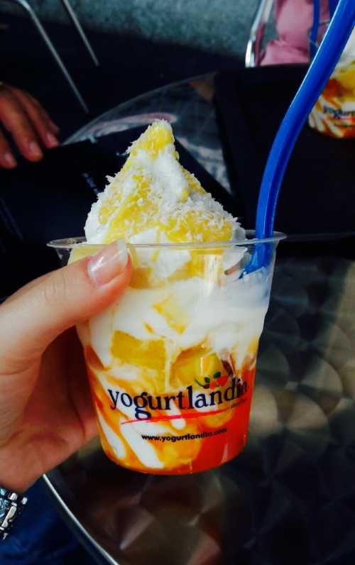 Yogurtlandia
