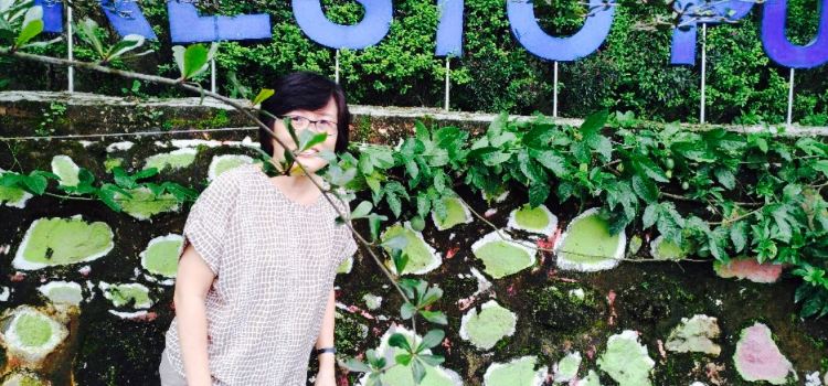 Resto Puncak