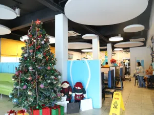 Shirley's Coffee Shop Garapan